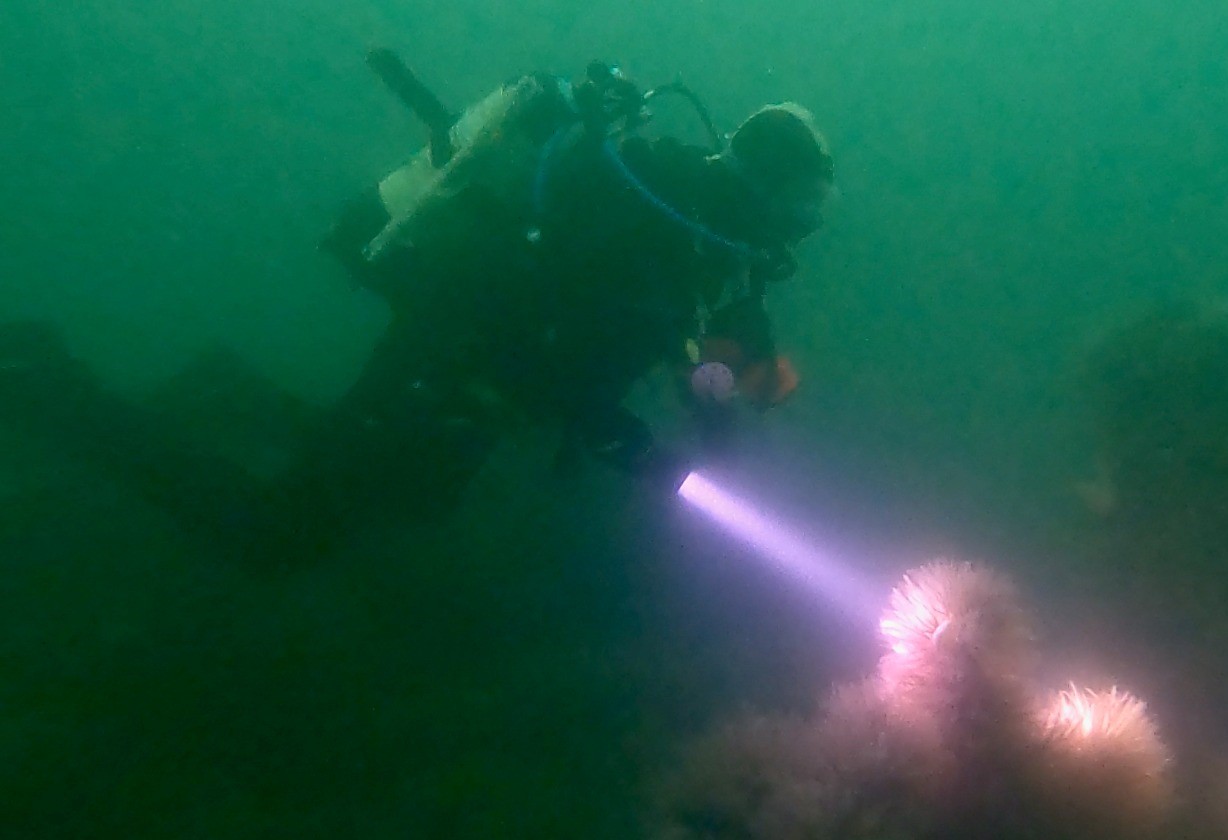 diver-with-torch.jpg