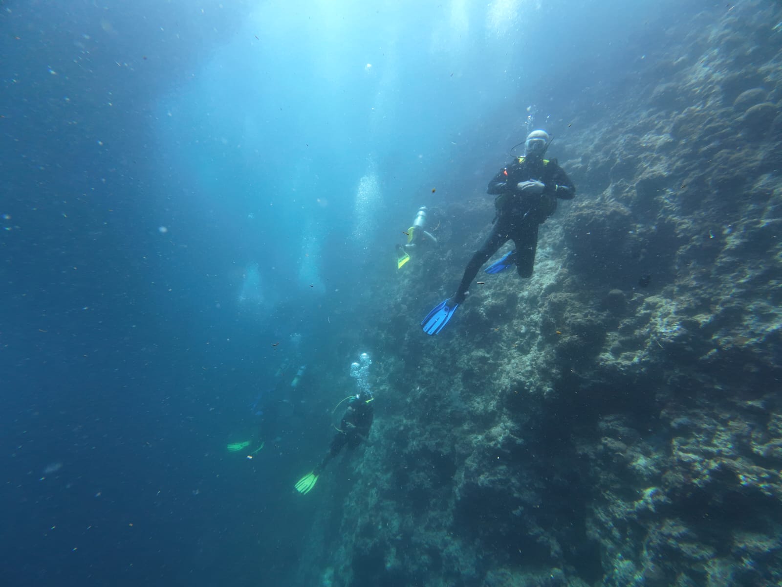 wall-divers.jpeg